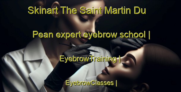 Skinart The Saint Martin Du Pean expert eyebrow school | EyebrowTraining | EyebrowClasses | SkinartTraining-France